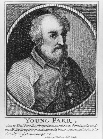 Young Parr by English School